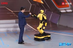 <strong>机械人手艺的将来</strong>