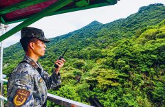 热成像镜头穿透层层枝